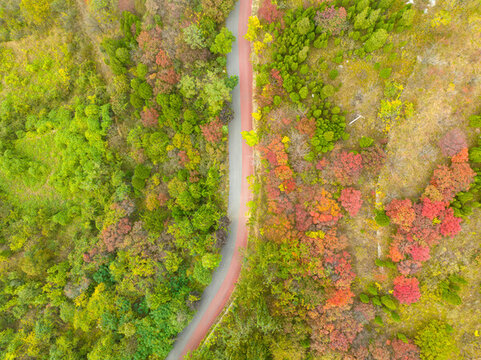 濟南歷城彩石鎮(zhèn)紅葉爛漫