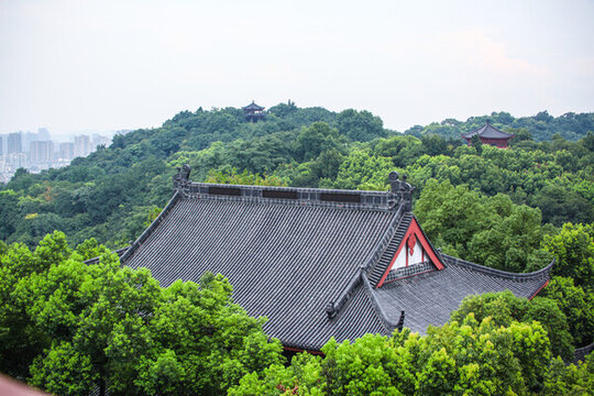 杭州城隍廟