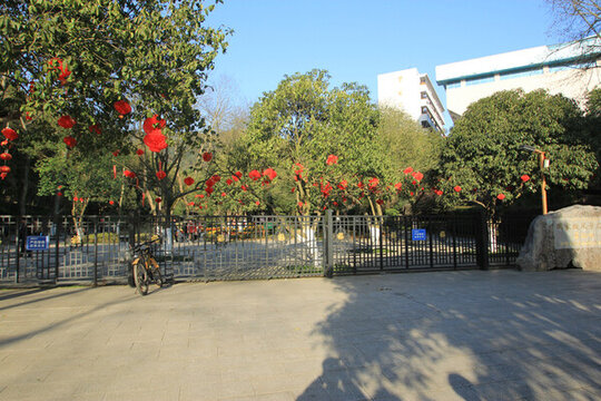 公園里的春節(jié)燈籠