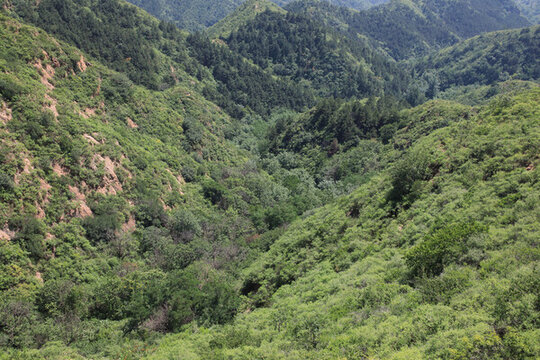 綠色山嶺