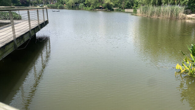 湖