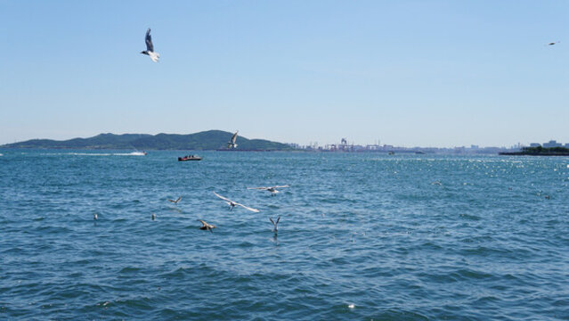 大海
