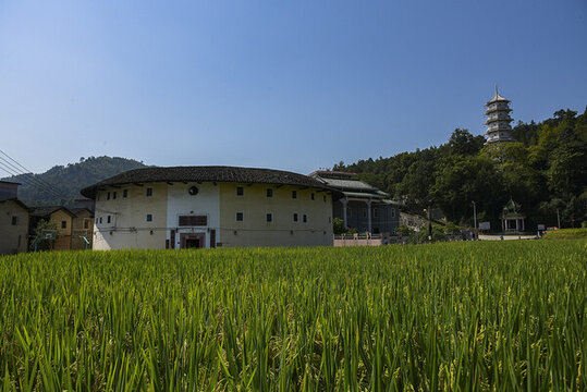 福建永定稻田土樓