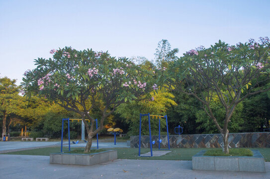 公園休閑運(yùn)動(dòng)區(qū)