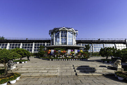 長春市兒童公園秋季菊花展場景