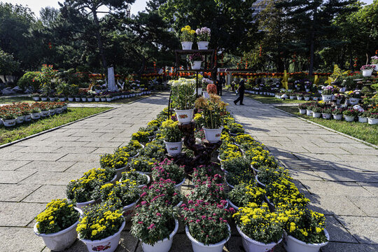 長春市兒童公園秋季菊花展場景