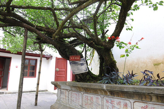 隴西世族莊園
