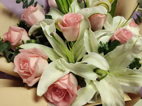 百合花大圖