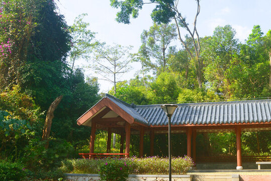 深圳筆架山公園風(fēng)雨長(zhǎng)雨廊