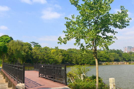 廣東深圳筆架山公園雙硯湖