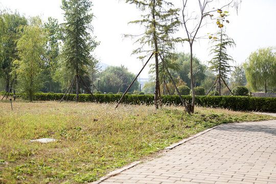 公園秋景