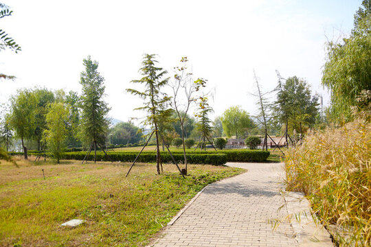 景觀步道