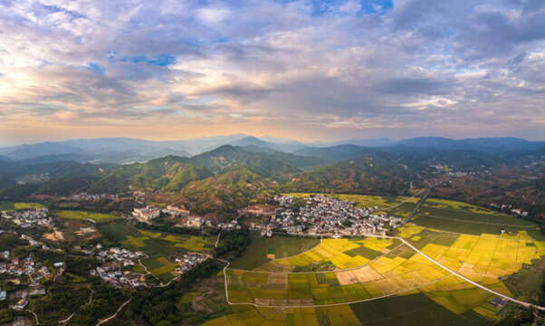 鄉(xiāng)村稻田