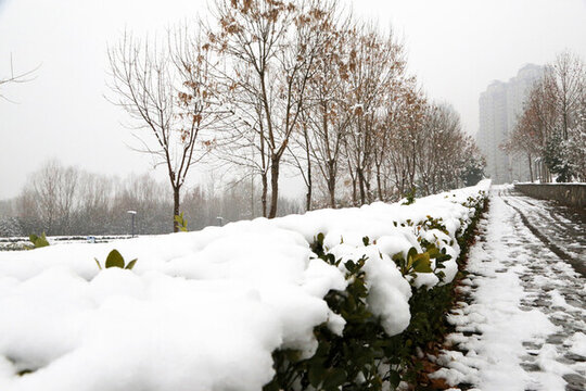 公園雪景
