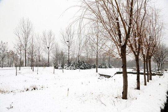 園林雪景
