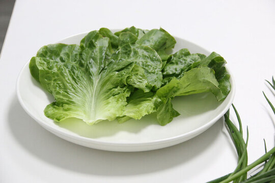 生菜