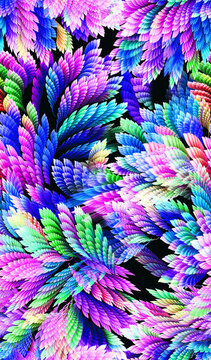 彩色羽毛