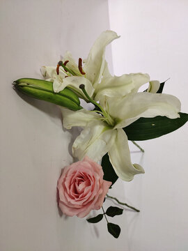 百合花與玫瑰花