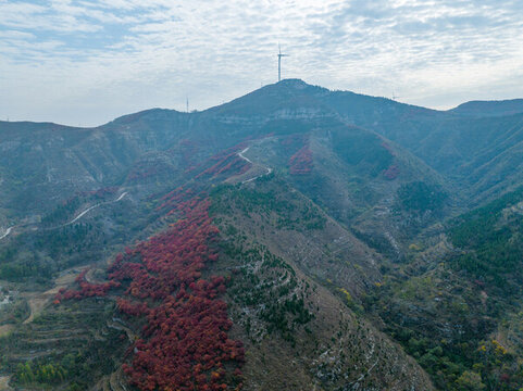 航拍濟南章丘九頂山風車與紅葉