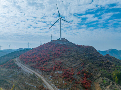 航拍濟南章丘九頂山風車與紅葉