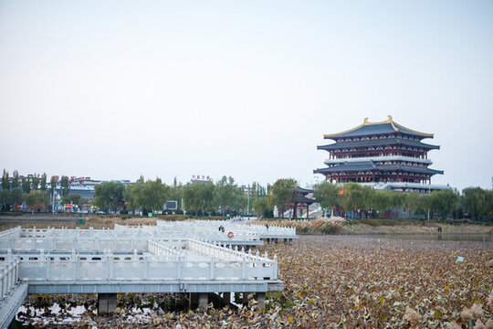 靈武博物館
