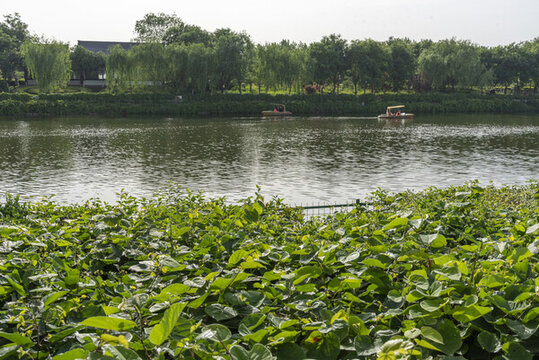 西安漢城湖遺址公園
