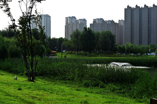 南溪濕地公園