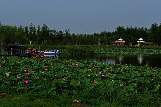 南溪濕地公園