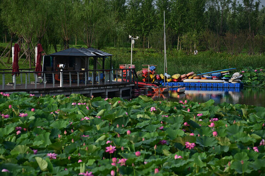 南溪濕地公園