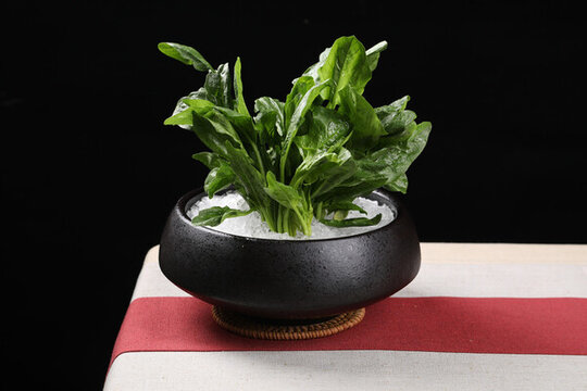 菠菜