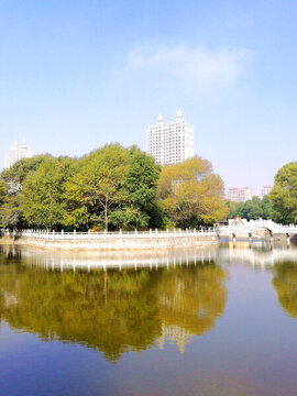 城市公園