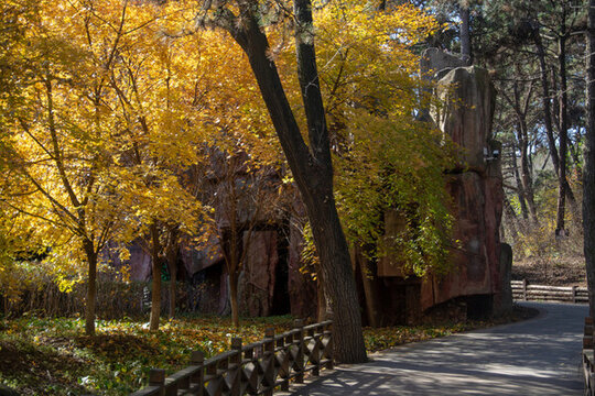 公園秋景