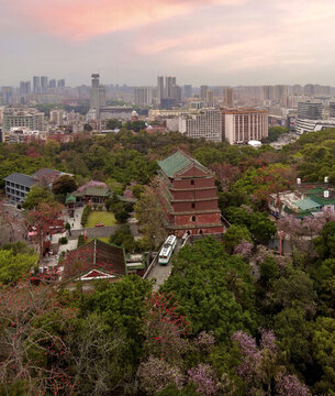 廣州鎮(zhèn)海樓春色