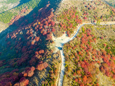 航拍濟南丁子寨紅葉
