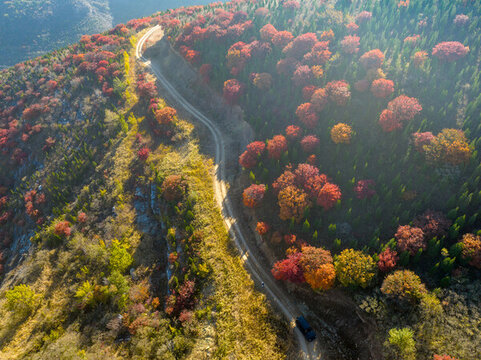 航拍濟南丁子寨紅葉
