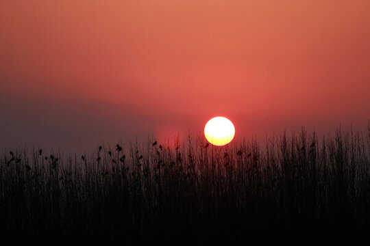 夕陽