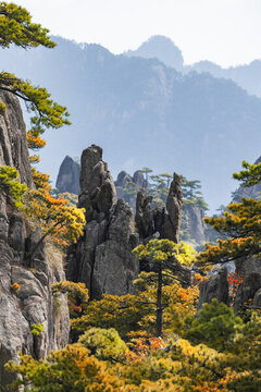 安徽黃山秋季自然風(fēng)光