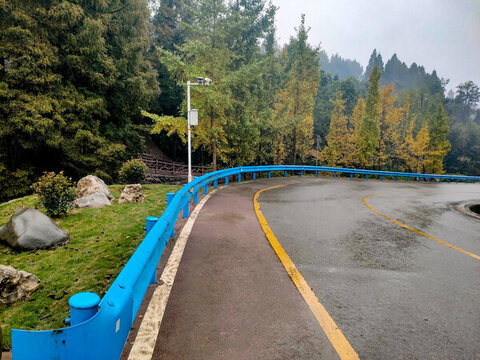 觀光走道公路秋色