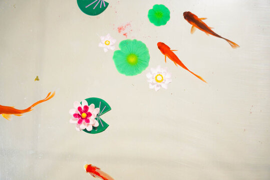 小金魚