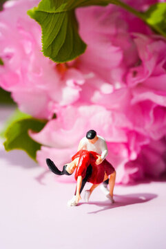 櫻花微距人