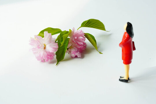 櫻花微距人