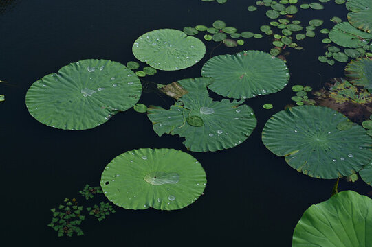 南溪濕地公園