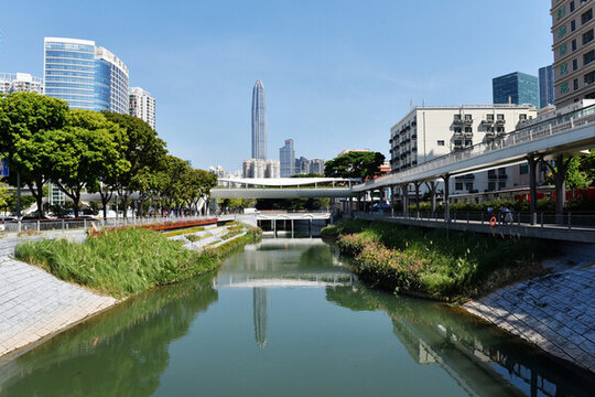 深圳新洲河紅樹碧道