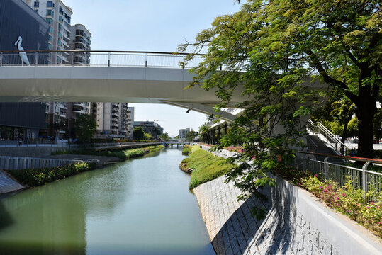 深圳新洲河紅樹碧道