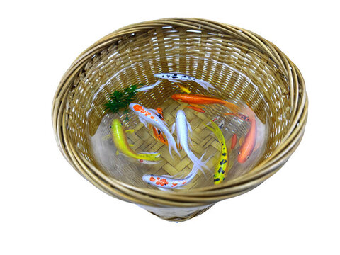 竹筐錦鯉五彩魚群魚缸