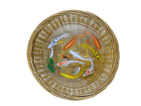 竹筐錦鯉五彩魚群魚缸