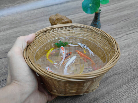 竹筐錦鯉五彩魚(yú)群魚(yú)缸