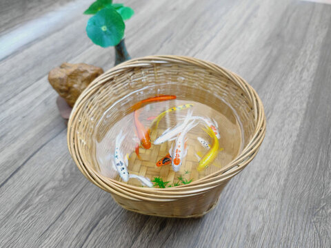 竹筐錦鯉五彩魚群魚缸