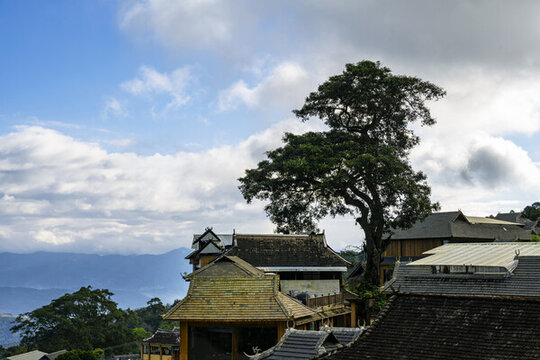 景邁山風(fēng)光