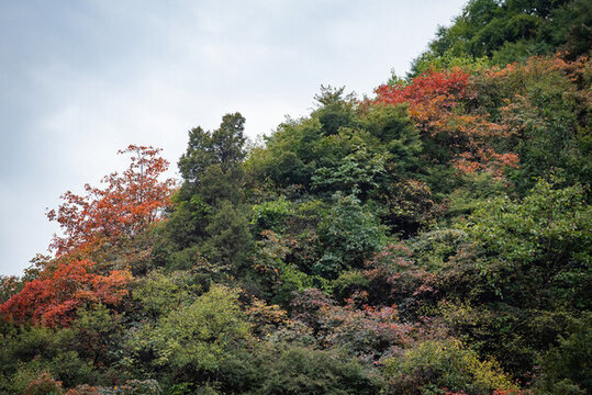 西安圭峰山秋景